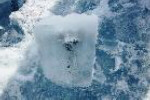 Close up of meteorite fragment in ice block.